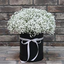 Цветочная композиция из Гипсофила в шляпной коробке в Раздольном Новосибирской области