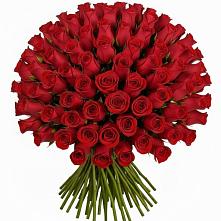 Букет Красные розы Чери Лав #REPLACE_PRED# Раздольном Новосибирской области